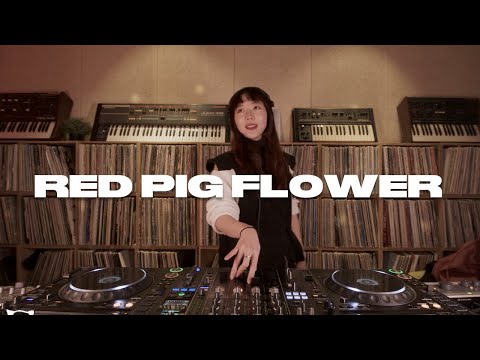 House, Chill House, Tech House : RED PIG FLOWER | Sound of Vast Label Tour /  MIXMIX