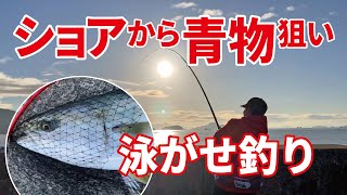泳がせでやったりました！（友だちが）