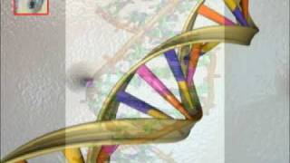 OGM - organismi geneticamente modificati, il DNA - prima parte,