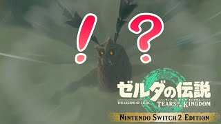 ピラミッドこえええええええ『ゼルダの伝説ティアーズオブキングダム』The Legends Of ZELDA Tears Of Kingdom