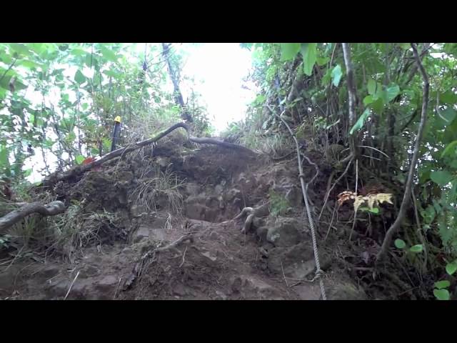 Randonnée à Rarotonga : Traversée de l'île, Rencontres Animalières et Paysages Époustouflants.