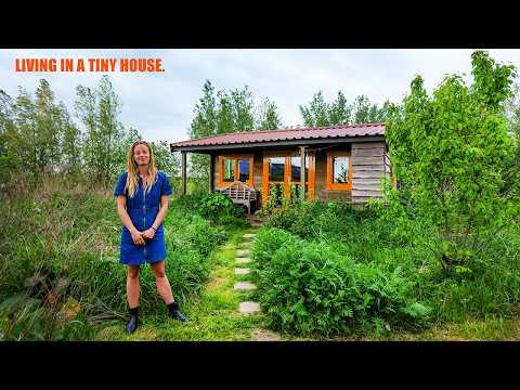 Freedom & Simple Living In A Tiny OFF-GRID Cabin!