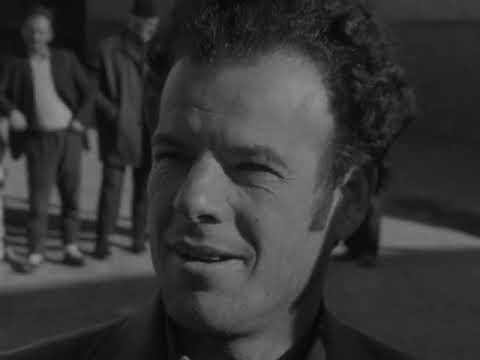 Актуелно - с. Жировница, изградба на паркетара (Мала фабрика, големи надежи)