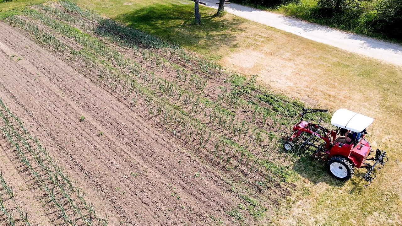 "Just Weeding This Field We Could Justify The Cost In 3 Years" | The Tilmor 520 Tractor