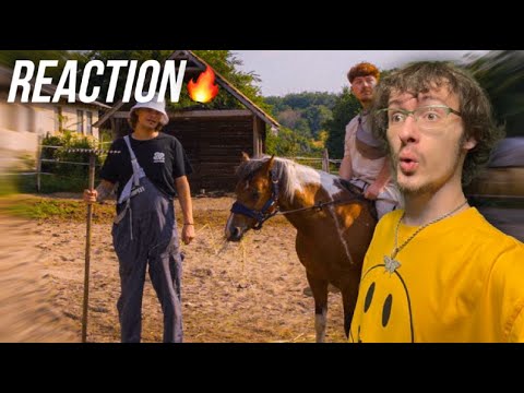 We Drew House Brothers! | Nameatmark x Dzsindzser-Belefalusodom (Reakció)