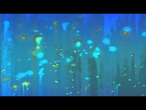 LIPPS VS B52'S THE BEST 80'S