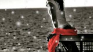 Yo sé que te acordarás Guardianes del Amor (por sergius tjbcmx)