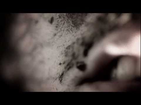 You Say France & I Whistle - Johnny Ulysses - Official Music Video