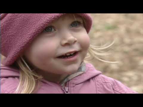 Teletubbies: Walking in the Woods (My Version)