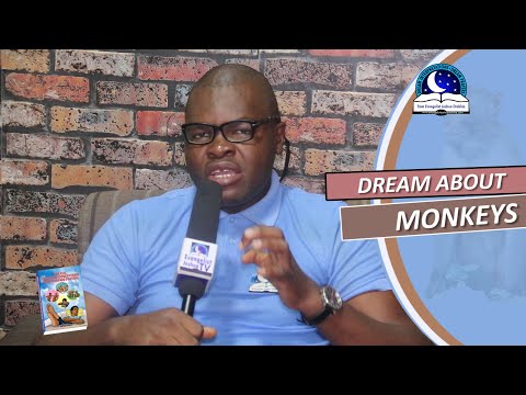 DREAM ABOUT MONKEY - Biblical Dream Interpretation
