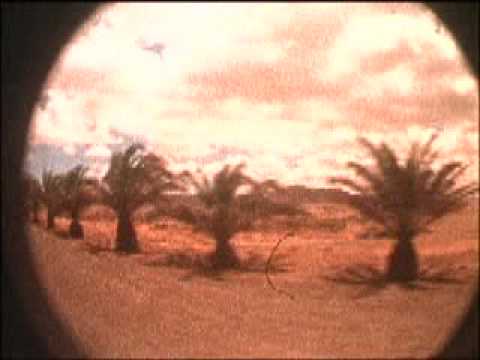 AntiAnti - Live Fast Die Young