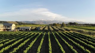 Mavic Air first flight - Blenheim Vineyards!