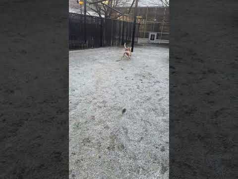 Katie video