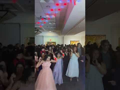 Too Much Fun Photo Booths and Entertainment video.