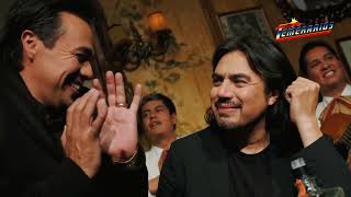 DEFINITIVAMENTE YA NO ESTOY ENAMORADO - LOS TEMERARIOS