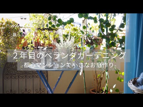 brise-vue-naturel-entourez-vous-plantes-fleurs