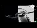 Pingu EFFECTS Panda Major