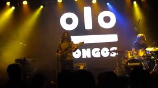 Kongos live Chile - Birds Do It