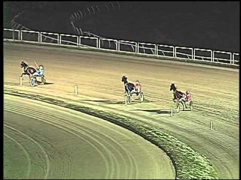 Trotto 07/01/2016 - prova di qualifica