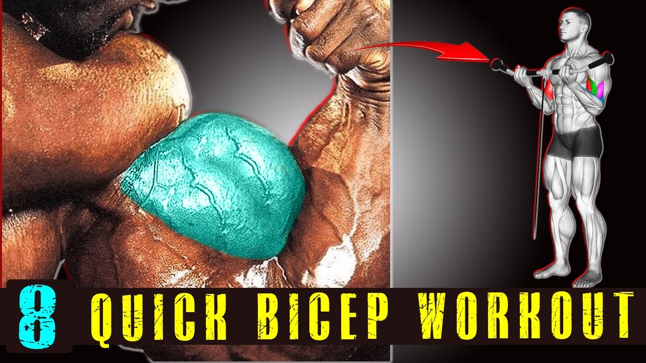 8 Quick Workout to Grow BIG BICEPS Fast - Gym Body Muscles