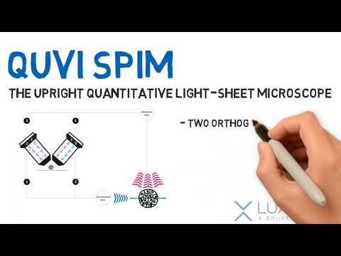 Light Sheet Microscope | QuVi SPIM | Bruker Luxendo