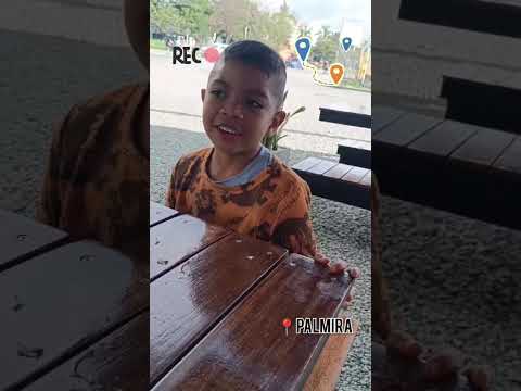 mi viaje de Zarzal a pradera en el valle del cauca. #fpyシ #waggingtails #honda #brainrot #funny #