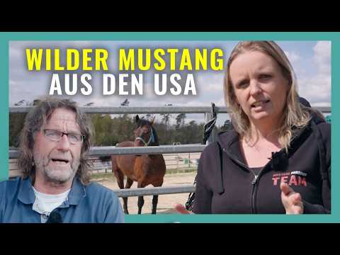 Wild horse from America moves in - 4 months until makeover!