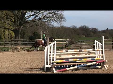 Tomahawk- Donnerhall - Walt Disney