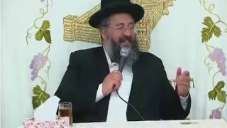 חסידות בפרשה - הרב החיד"א שיעור בפרשת השבוע