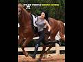 Other People Riding Horse Vs This One Trollface Troll Edit Cr7