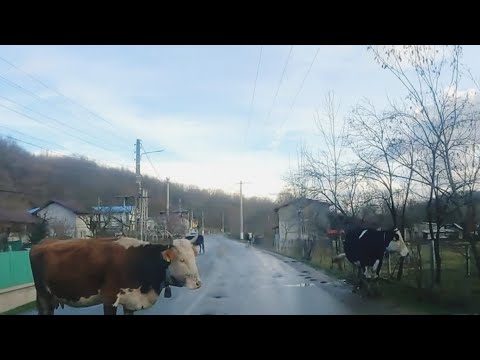 Plimbare prin satele românești la început de primăvară. Valea Lungă(DB), Provița - Telega(PH)