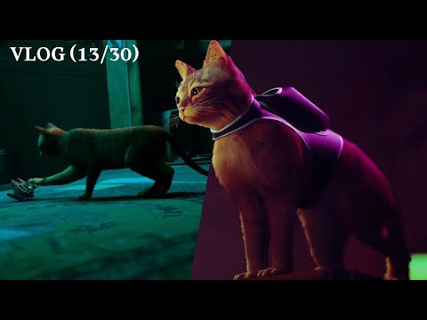 Cat's Eye View: Exploring the Cybernetic Wonders of Stray - A Stray 2022 Gaming Vlog | VLOG 13