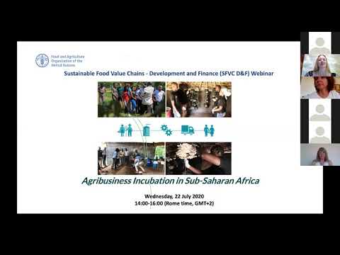 Webinar Recording: Agribusiness Incubation in Sub-Saharan Africa (French)