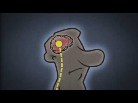 Xbox 360 - Crackdown 2 - Animated Series - Episode 3 "Public Service Announcement"