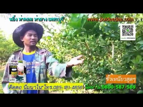 โปรตีนแรงอาหาร ยกถ้าค้อนแม่ม่ายดำของ ธ อร์
