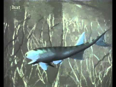 03. Planet des Lebens - Abschied vom Ozean