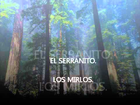 EL SERRANITO. - LOS MIRLOS.