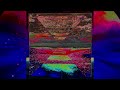 03. 3AM at the Border of the Marsh from Okefenokee - Tangerine Dream - 432Hz HQ