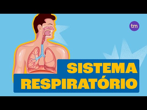 Como funciona o Sistema Respiratório?