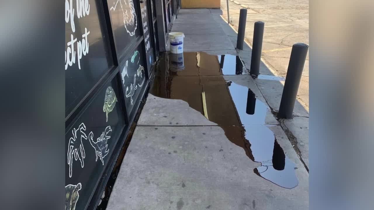 Vandal causes thousands of dollars in damage for local business owner
