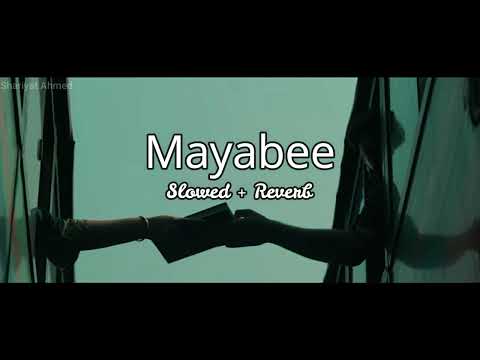 Mayabee- [ 𝙨𝙡𝙤𝙬𝙚𝙙 + 𝙧𝙚𝙫𝙚𝙧𝙗 ]  | মায়াবী  |  Blue Touch Bangladesh | Shariyat_LOFI