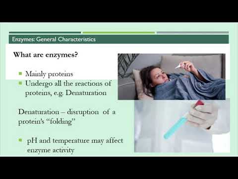 Enzymes and Vitamins Part 1