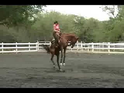 Bucking Horse with Female Rider