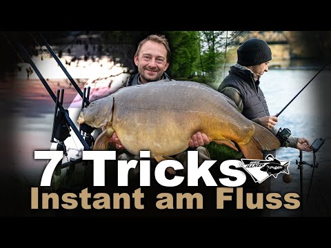 THERE ARE GIANT CARP IN THIS RIVER! - Carp fishing on the river