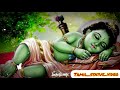 Krishna Jayanthi Tamil WhatsApp Status Godsongs