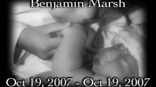 Craig Cardiff - smallest wingless