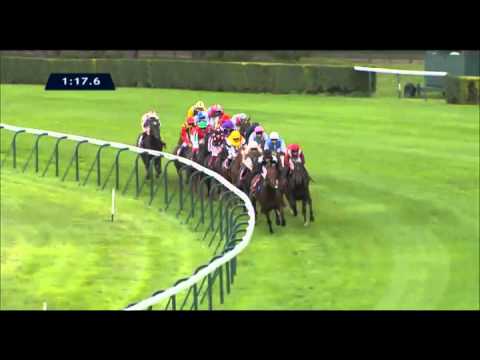 凱旋門賞（G1） 2013/10/6(日) | 日程・結果 | JRA-VAN World - 海外