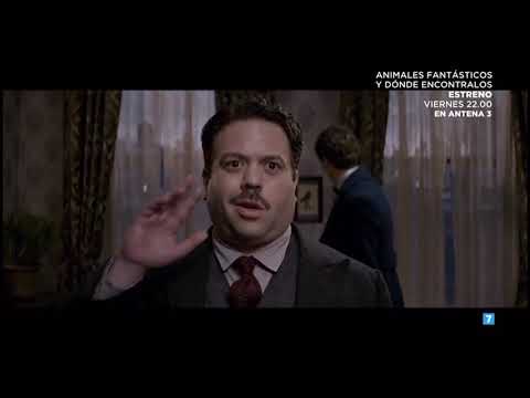 Trailer Animales Fantásticos y Donde Encontrarlos, Estreno Viernes 7 de Diciembre a las 22:00h en A