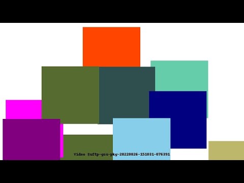 Video #sftp-gcs-pkg-20220826-151031-076391