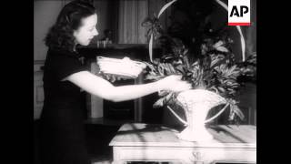 Magicians Prove There's No Deception